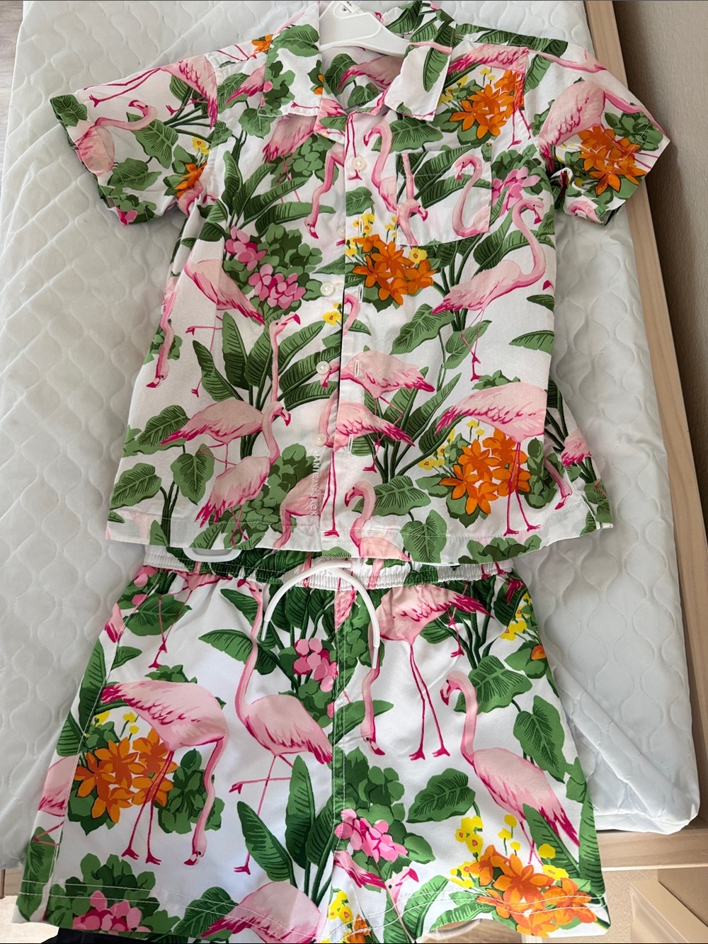 Janie and Jack Kids Flamingo Print Matching Set - Pink & Green Size 4